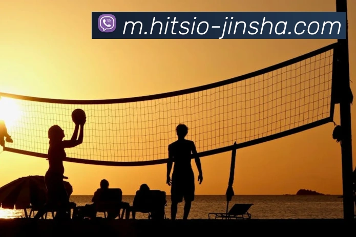 App Interface Preview